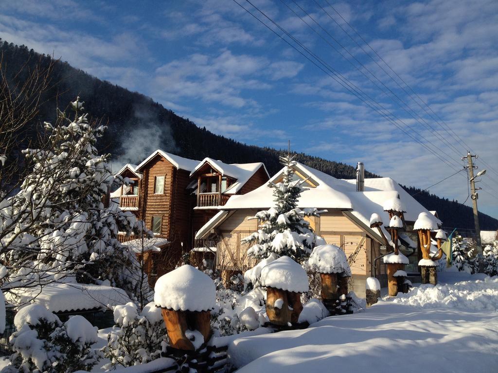 Guest House Anastasia Tatariv Exterior foto